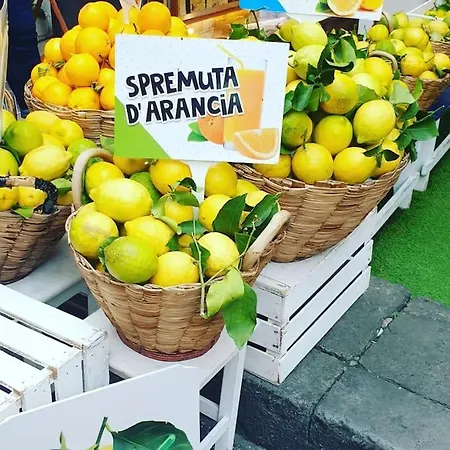 & Duoglio - Seaview Gasthof 3*